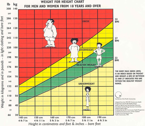 The Body Mass Index Chart